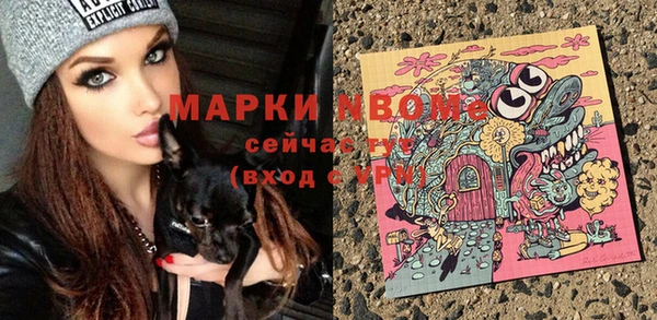 сатива Верхний Тагил