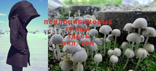 спиды Богородицк