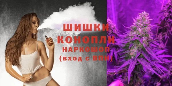 спиды Богородицк