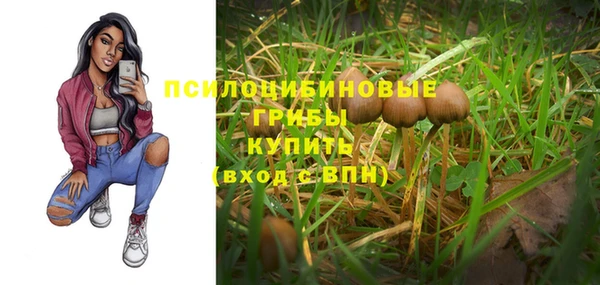 мескалин Бородино