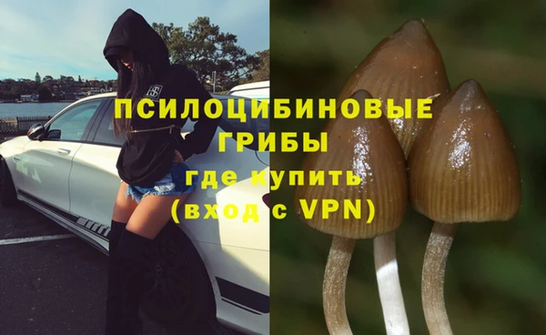 мескалин Бородино