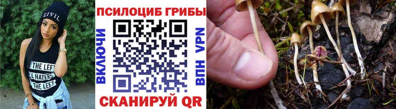 Псилоцибиновые грибы мухоморы  Купить  Малоярославец 